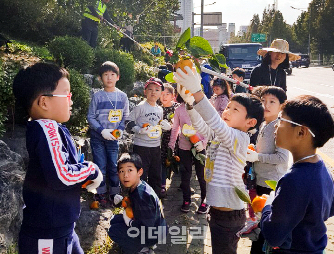 [포토] 감따기 체험에 신나는 어린이들