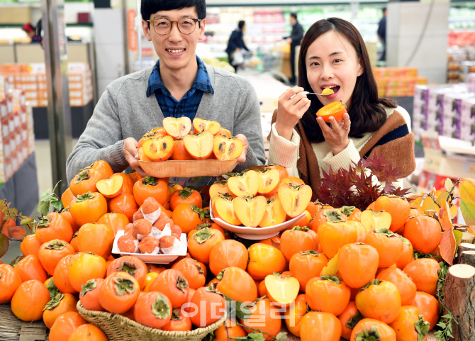 [포토] 첫 출하된 대봉시