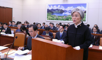 "3不 협의, 외교쪽박" Vs "기존 정부 입장"…외통위서 격론