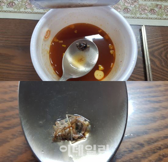 "컵라면 먹다 바퀴벌레 씹었다"..'곤충탕면' 논란