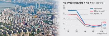 다주택자 누르니… 똘똘한 강남 중대형 아파트 뜨네