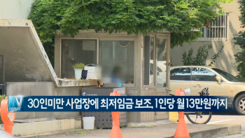  30인 미만 사업장에 최저임금 보조…1인당 월 13만원까지 外
