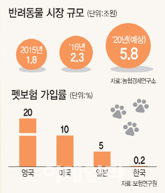 반려동물 의료수가 재정비…잠자던 팻보험 시장 깨어난다