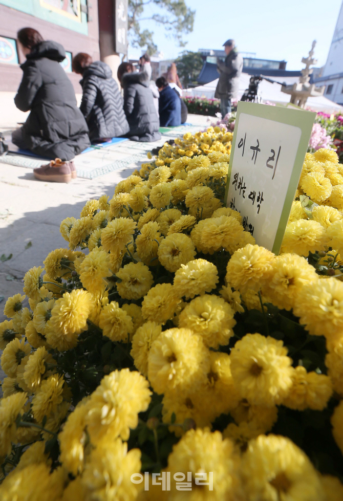 [포토]'추위에도 어머니의 마음은'