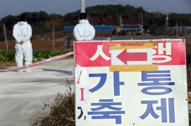 '사람도 감염' 중국發 변종 AI 우려까지