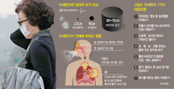 미세먼지 1시간 노출=담배 연기 80분 흡입