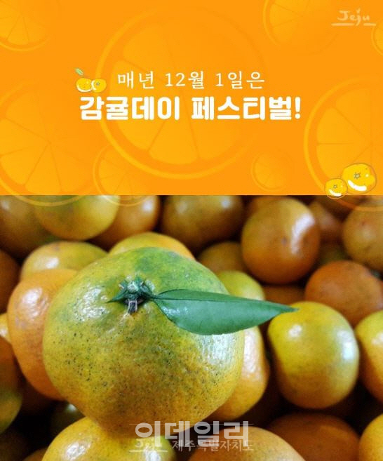 공영홈쇼핑, '감귤데이' 황금향 2회 특별편성