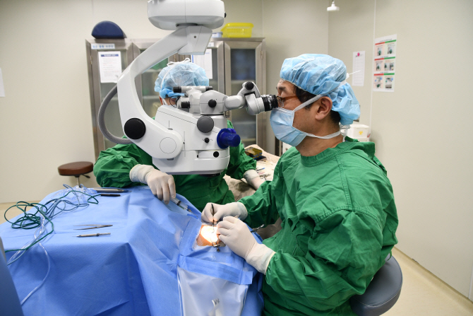 백내장 수술, 40∼50대 남성·60대 이상 여성 많아