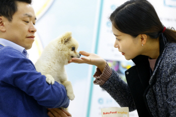 '동물 보호' 어떻게 생각하세요?…국민의식조사 28일 발표