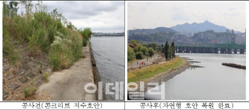 서울시, 이촌한강공원 자연성 회복사업 준공…26일 시민개방