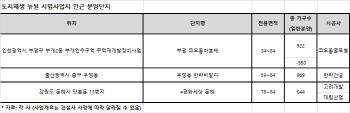 닻 올린 도시재생뉴딜… 시범사업지 인근 주택시장 온기돌까