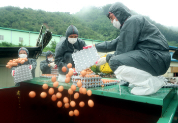 ①사드·갑질·살충제···바람 잘 날 없었다