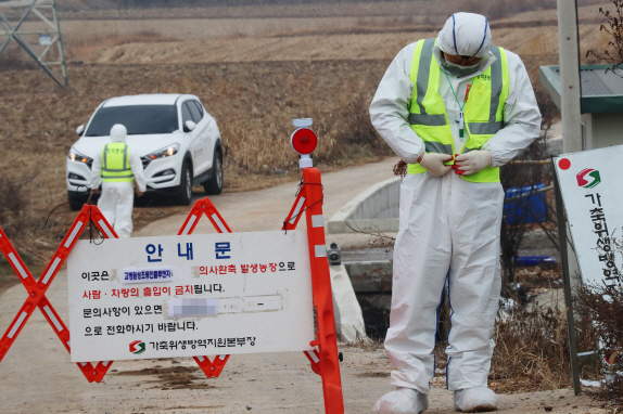 충남 천안 야생조류 분변 고병원성 AI 확진