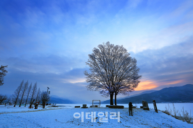 '완도수목원 난대숲 감성여행' 등 생태테마관광 육성사업 선정