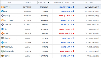 비트코인, 하룻새 200만원 급락..가상화폐 시가총액 107조 증발