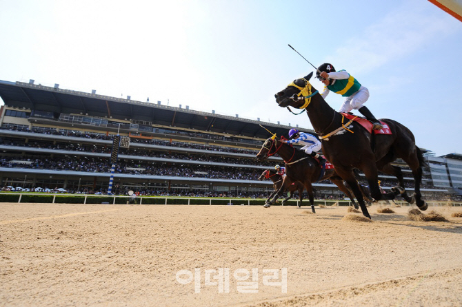 2018년 '황금 개띠해' 빛낼 개띠 기수는 누구?