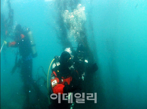 박경민 해경청장도 혹한기 잠수 훈련…"수중구조 강화"
