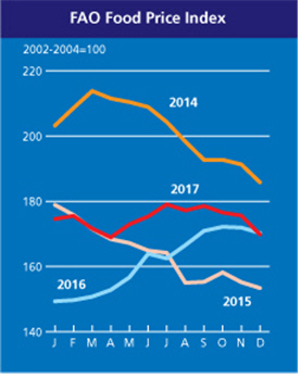 지난해 12월 FAO 세계식량가격지수 하락…유제품·유지류 급락