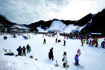 [여행] '뜨거운 겨울 동화속으로' 雪來는 춘천여행