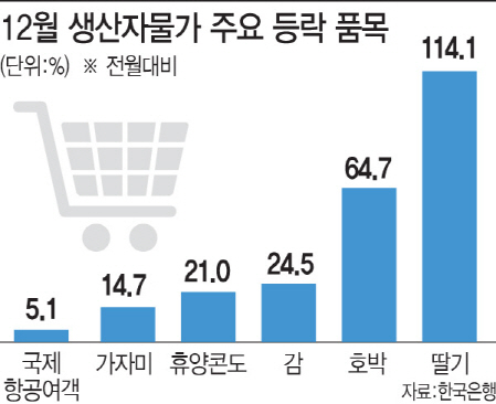 딸기 114% 호박 65%↑…농산물 생산자물가 '급등'