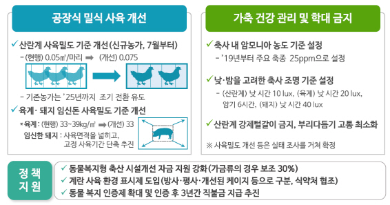 농식품부 "알 낳는 닭 공간 1.5배 늘린다"