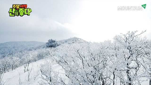 올림픽 앞둔 강원도, 눈꽃산행 ‘태백산’에 가보자