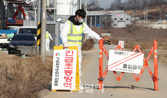 평택까지 고병원성 AI 확산…평창올림픽 앞두고 방역 '비상'(상보)