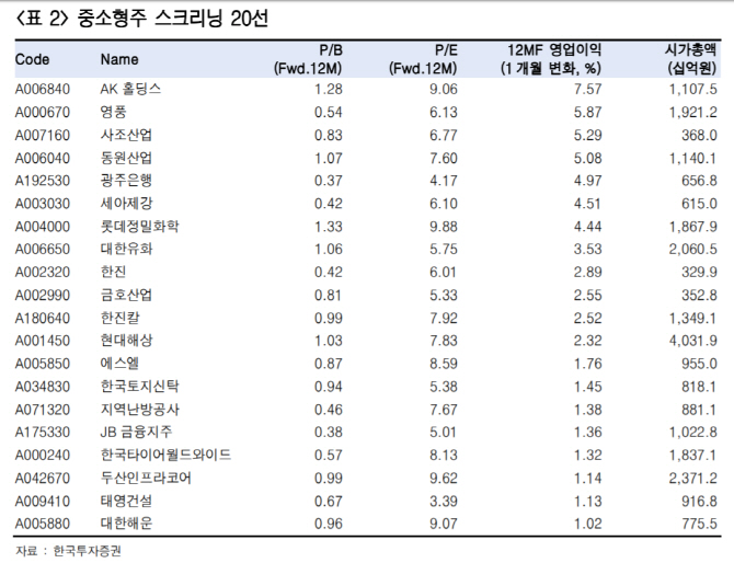 대형주보다 수익률 좋은 중소형주..`랠리 초기 국면`