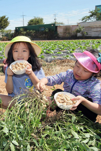 농촌지역 관광 프로그램, 마을 주민 직접 개발한다