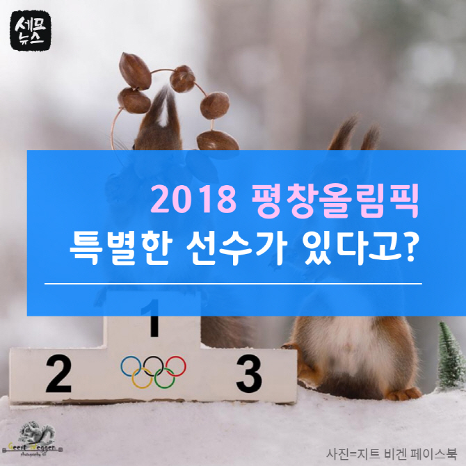  2018 평창올림픽, 특별한 선수가 있다고?