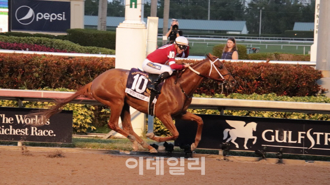 [경마이야기]'170억원' 전세계 상금 가장 많은 경마대회 우승마는?