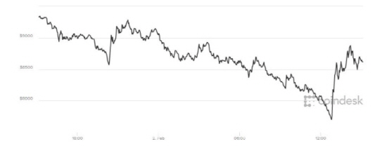 비트코인 한때 8000달러 붕괴…저가매수에 반등 `안간힘`