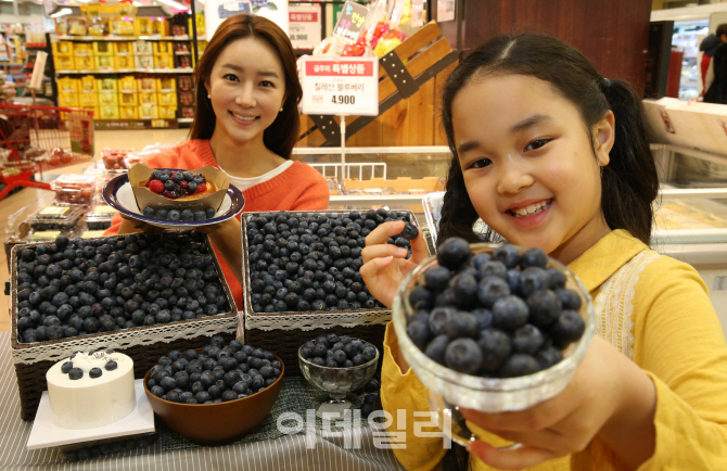 [포토]올해 건강은 제철 블루베리로 챙기세요!