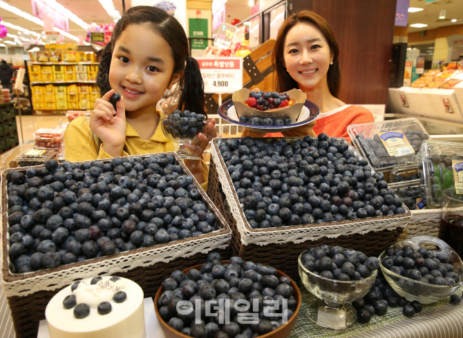 [포토]롯데마트, 올해 건강은 블루베리로 챙기세요!