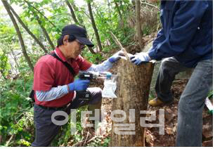 산림병해충 방제컨설팅 ‘탁월’로 평가…올해 계속사업 선정