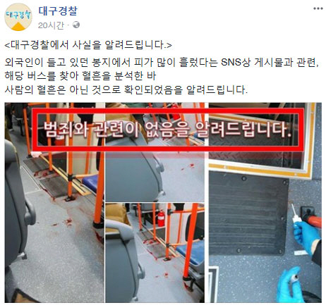 "대구 버스 '혈흔', 사람 피 아니다"...경찰 확인에 누리꾼 "그럼?"