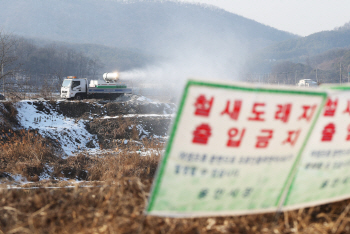 당진에 이어 천안까지 뚫렸나…충남 AI '비상'