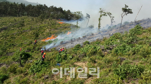 산림청, 산불재난 특수진화대 330명 선발…전문교육 실시