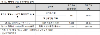 삼성 30조원 투자 결정에… 몸값 높아진 평택시