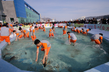 [평창] 올림픽보다 더 재미있는 '겨울축제 3선'