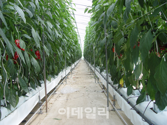 충남도, 올해 시설원예 현대화 사업 본격 추진