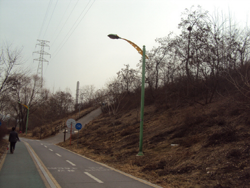 강남구, 탄천·세곡천로 하천 보안등 LED 정비