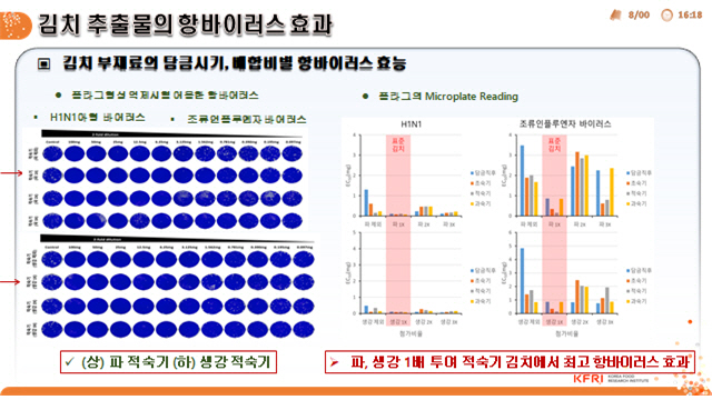 김치, 인플루엔자 바이러스 억제효과 과학적 입증됐다