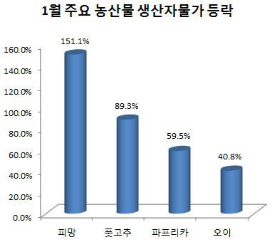 피망 151%·풋고추 89%↑…한파에 채솟값 급등