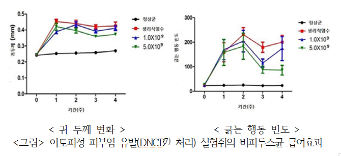 농진청 개발 유산균 아토피 완화효과 입증…소시지 등 개발