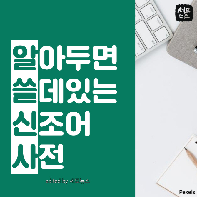 [알쓸신사] 나를 호구로 아는 '둘리충'