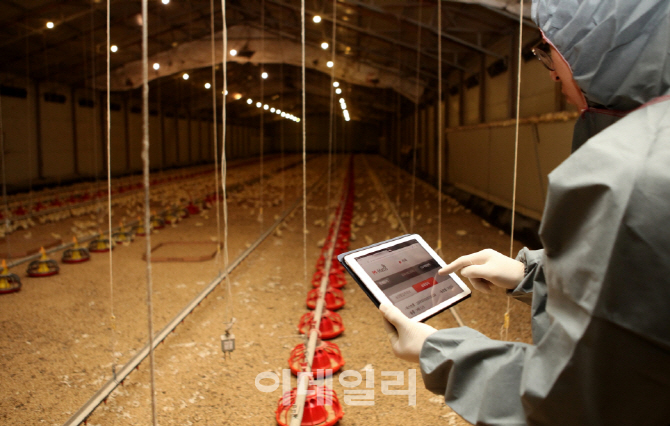 “유기·무항생제 축산물 인증 받고 보조금 받으세요”