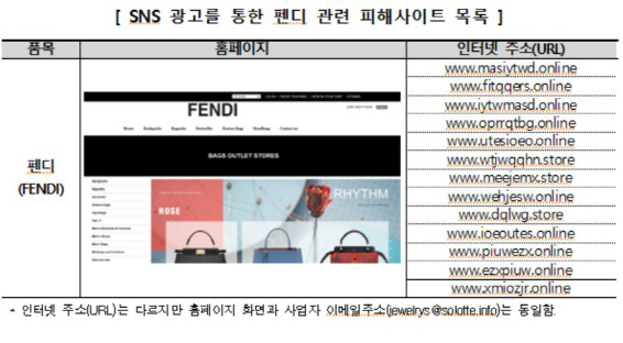 유명 브랜드 사칭 '해외 직구' 쇼핑몰 소비자피해 주의