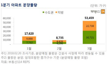 강남·서초·마포·과천 '알짜 분양단지' 쏟아진다