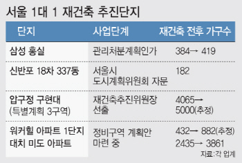 "고품격 유지"..서울 워커힐·미도아파트도 '1대1 재건축'
